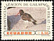 American Oystercatcher Haematopus palliatus  1973 Galapagos Islands 