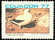 Nazca Booby Sula granti  1977 Birds of the Galapagos Islands 