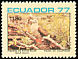 Red-footed Booby Sula sula  1977 Birds of the Galapagos Islands 