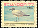 Lava Gull Leucophaeus fuliginosus  1977 Birds of the Galapagos Islands 