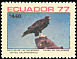 Galapagos Hawk Buteo galapagoensis  1977 Birds of the Galapagos Islands 