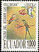 Long-tailed Sylph Aglaiocercus kingii  1995 Hummingbirds 