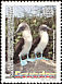 Blue-footed Booby Sula nebouxii  2002 Fauna of the Galapagos Islands 10v set