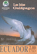 Swallow-tailed Gull Creagrus furcatus  2005 Galapagos Islands 
