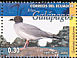 Swallow-tailed Gull Creagrus furcatus