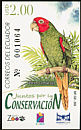 Red-masked Parakeet Psittacara erythrogenys  2006 Conservation 