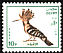 Eurasian Hoopoe Upupa epops