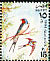Red-rumped Swallow Cecropis daurica