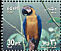 Blue-and-yellow Macaw Ara ararauna  2001 Festivals 