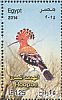 Eurasian Hoopoe Upupa epops  2014 Birds 