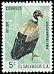 King Vulture Sarcoramphus papa