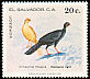 Highland Guan Penelopina nigra  1980 Birds 
