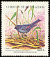 Slaty Finch Haplospiza rustica  1984 Birds 