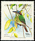 Tody Motmot Hylomanes momotula  1984 Birds 