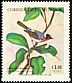 Red-faced Warbler Cardellina rubrifrons  1984 Birds 