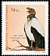 King Vulture Sarcoramphus papa