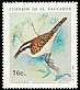 Rufous-backed Wren Campylorhynchus capistratus