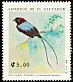 Long-tailed Manakin Chiroxiphia linearis  1991 Birds 