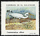 Great Egret Ardea alba  1993 Birds 