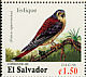 American Kestrel Falco sparverius  1996 Migratory birds Strip