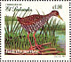 Spotted Rail Pardirallus maculatus  1999 Birds of the Jocotal lagoon Sheet