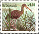 Limpkin Aramus guarauna  1999 Birds of the Jocotal lagoon Sheet