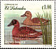 Masked Duck Nomonyx dominicus  1999 Birds of the Jocotal lagoon Sheet