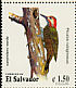 Golden-olive Woodpecker Colaptes rubiginosus  1999 Woodpeckers Strip