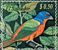 Painted Bunting Passerina ciris  2007 Migratory birds  MS