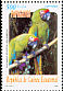 Great Green Macaw Ara ambiguus  1999 Parrots Strip
