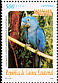 Hyacinth Macaw Anodorhynchus hyacinthinus  1999 Parrots Strip