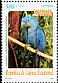 Hyacinth Macaw Anodorhynchus hyacinthinus