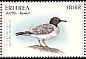 White-eyed Gull Ichthyaetus leucophthalmus  1996 Endangered animals Strip