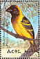 Village Weaver Ploceus cucullatus  1998 Birds Sheet