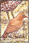Desert Lark Ammomanes deserti  1998 Birds Sheet