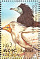 Egyptian Vulture Neophron percnopterus  1998 Birds Sheet