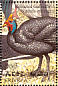 Helmeted Guineafowl Numida meleagris  1998 Birds Sheet
