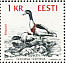Common Shelduck Tadorna tadorna  1992 Baltic birds Booklet