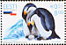 Emperor Penguin Aptenodytes forsteri  2006 Antarctica, joint issue with Chile 2v set