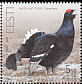 Black Grouse Lyrurus tetrix  2008 Bird of the year 