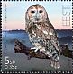 Tawny Owl Strix aluco  2009 Bird of the year 