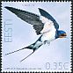 Barn Swallow Hirundo rustica  2011 Bird of the year 