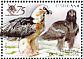 Bearded Vulture Gypaetus barbatus  2014 Tallin Zoo 2v sheet