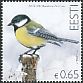 Great Tit Parus major  2016 Bird of the year 