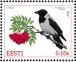 Hooded Crow Corvus cornix