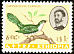 Diederik Cuckoo Chrysococcyx caprius  1962 Ethiopian birds 