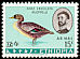 Yellow-billed Duck Anas undulata  1967 Ethiopian birds 
