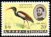 Wattled Ibis Bostrychia carunculata  1967 Ethiopian birds 