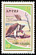 Lappet-faced Vulture Torgos tracheliotos  1980 Birds of prey 