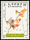 Salvadori's Seedeater Crithagra xantholaema  1989 Endemic birds of Ethiopia 